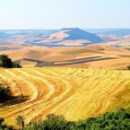 Casa San Vito * Irsina