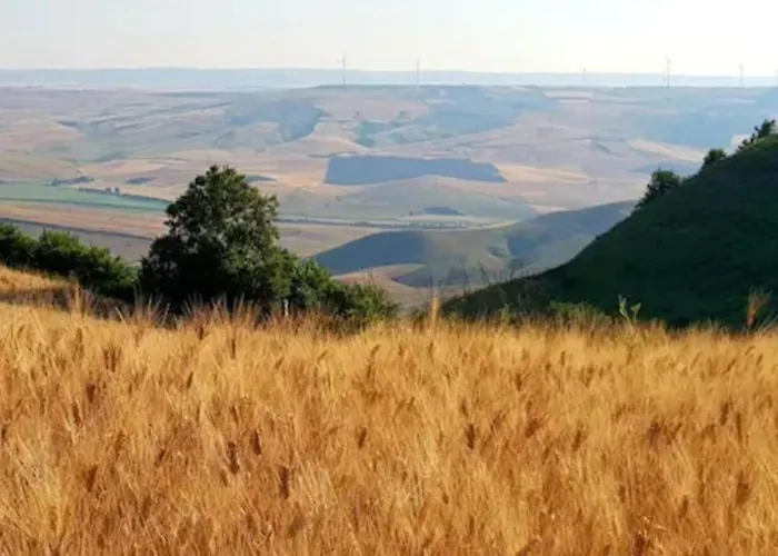 Casa San Vito * Irsina